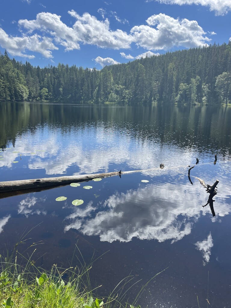 Photo №2 of Midtre Kytetjernet