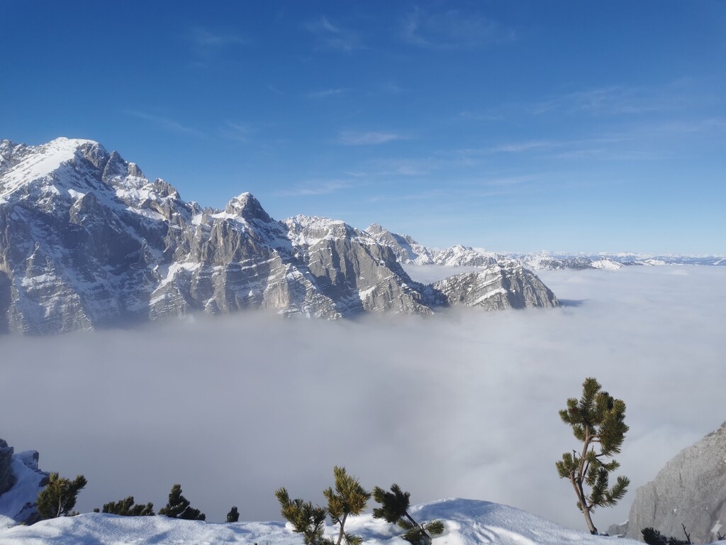 Photo №3 of Mrežce