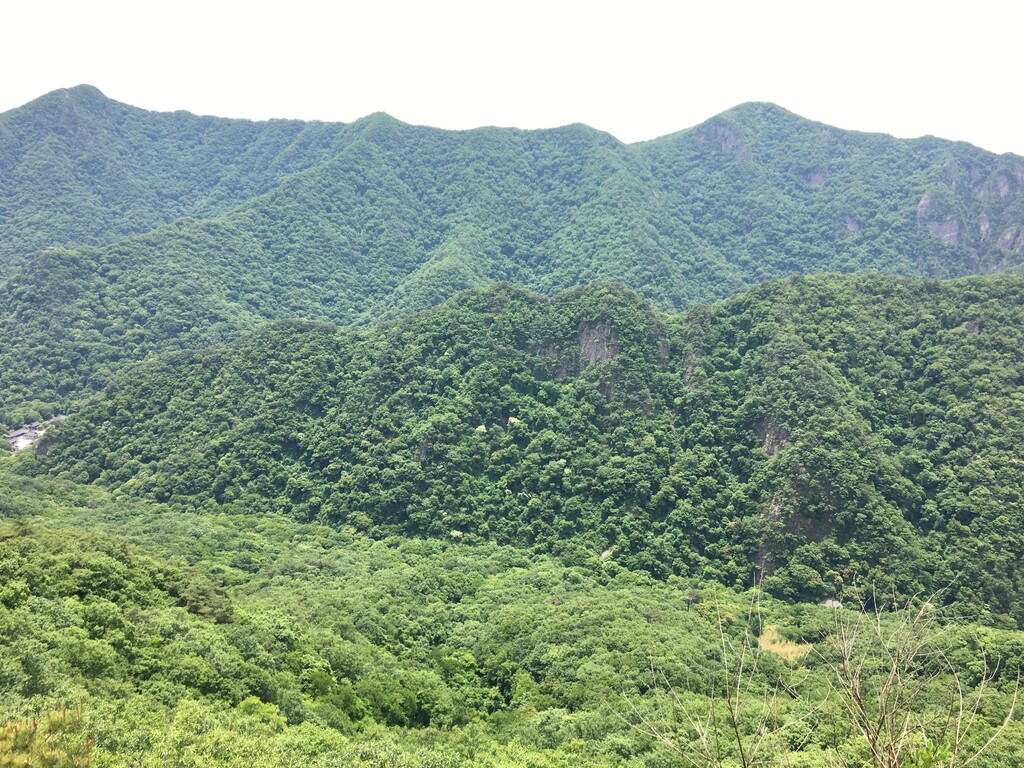 Photo №1 of Naejang-san Mountain