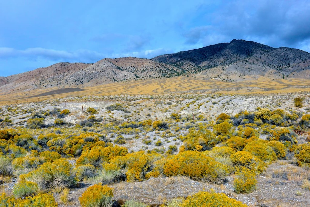 Nevada Mountains