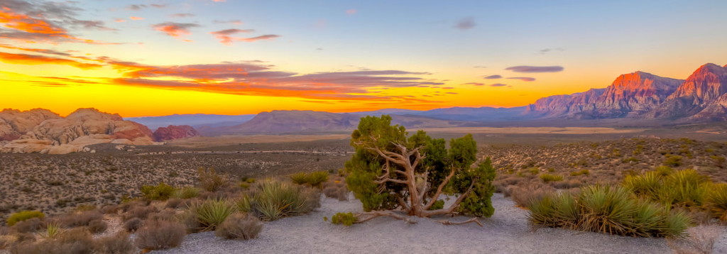 Red Rock Canyon National Conservation Area, Nevada