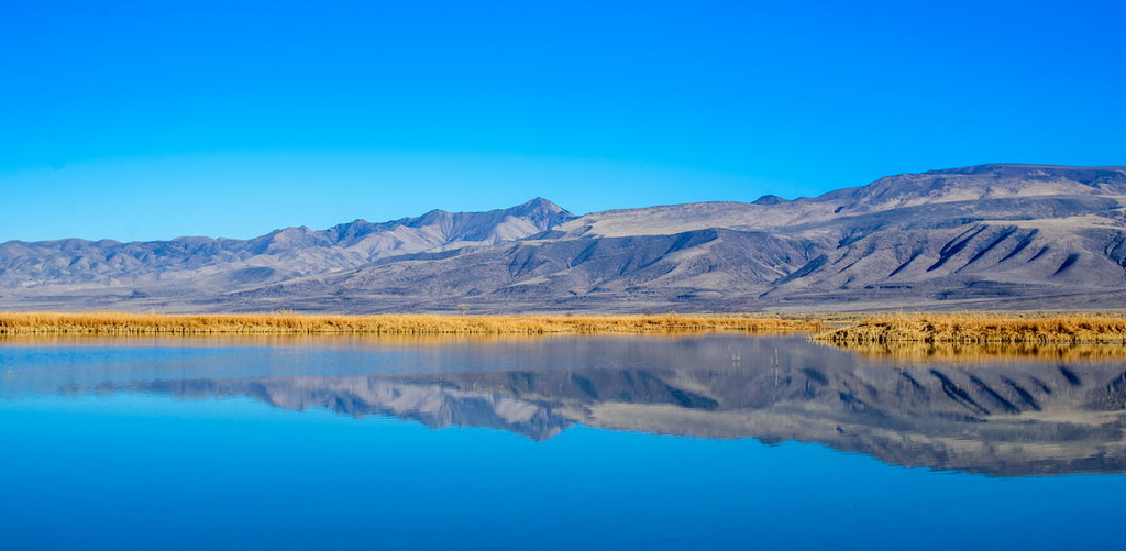 Stillwater National Wildlife Reserve