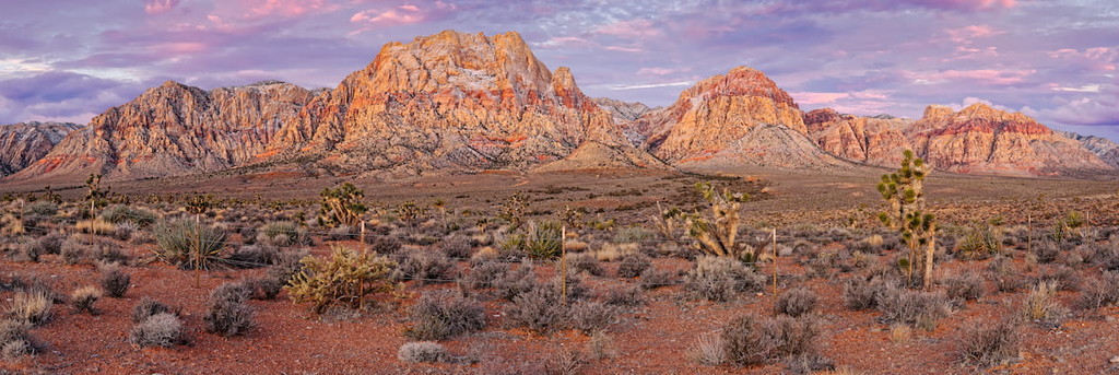  Red Rock Canyon and Joshua Trees - Mojave Desert Las Vegas Nevada