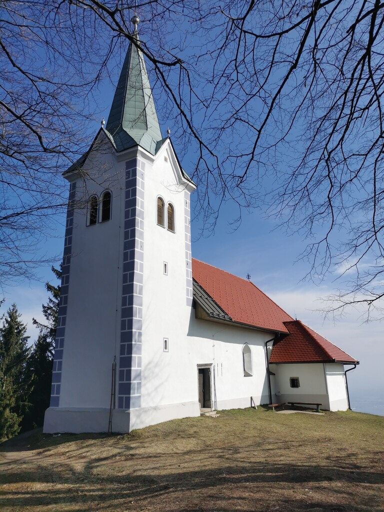 Photo №6 of Osolnik