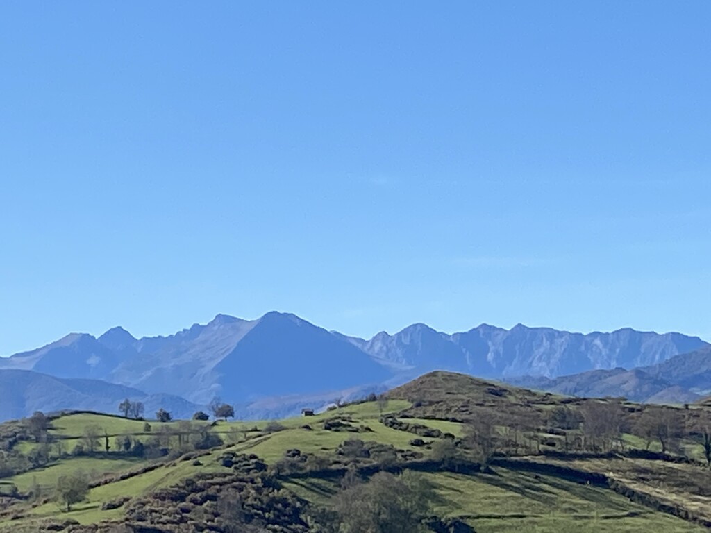 Photo №11 of Pico Roíles