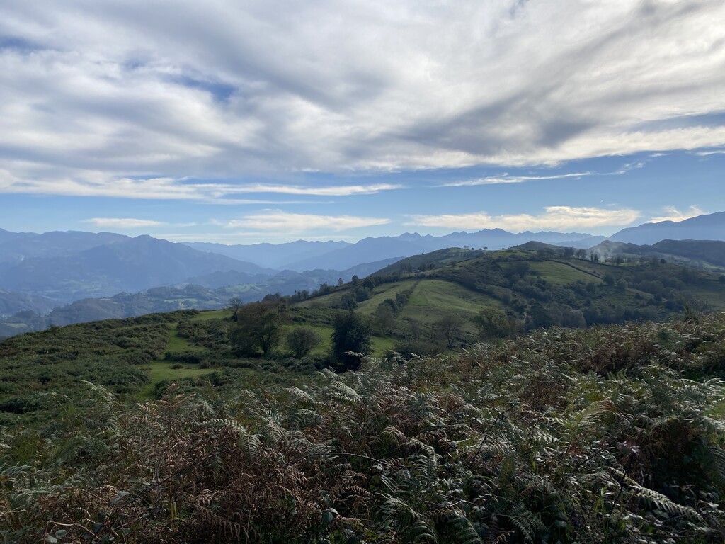 Photo №8 of Pico Roíles