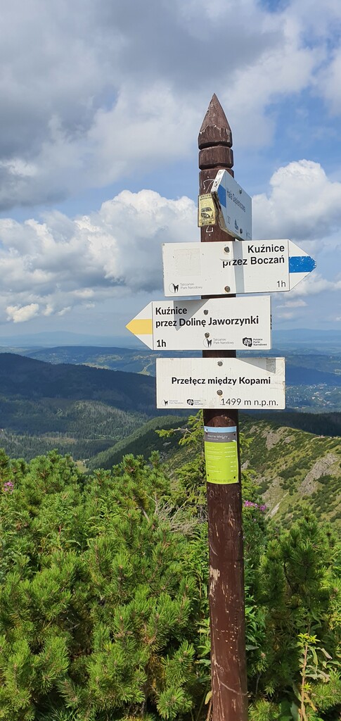 Photo №6 of Przełęcz między Kopami