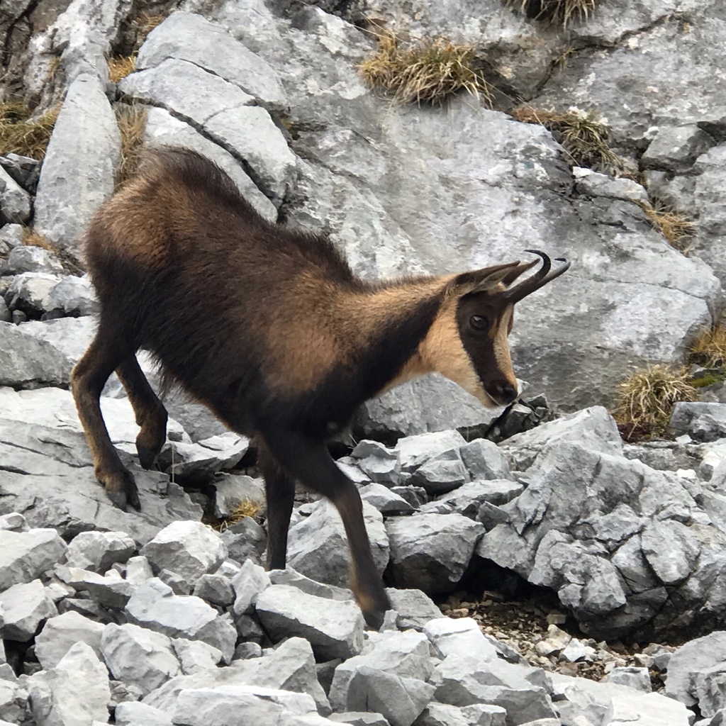 Ignacio Cruz Fernandez Alvarez