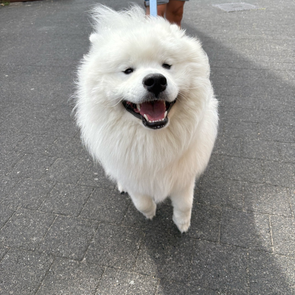 Агний Чекалкин