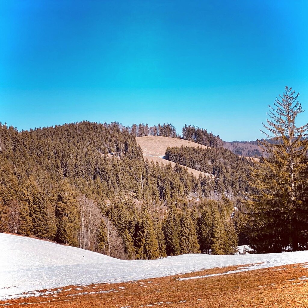 Photo №1 of Rote Fluh