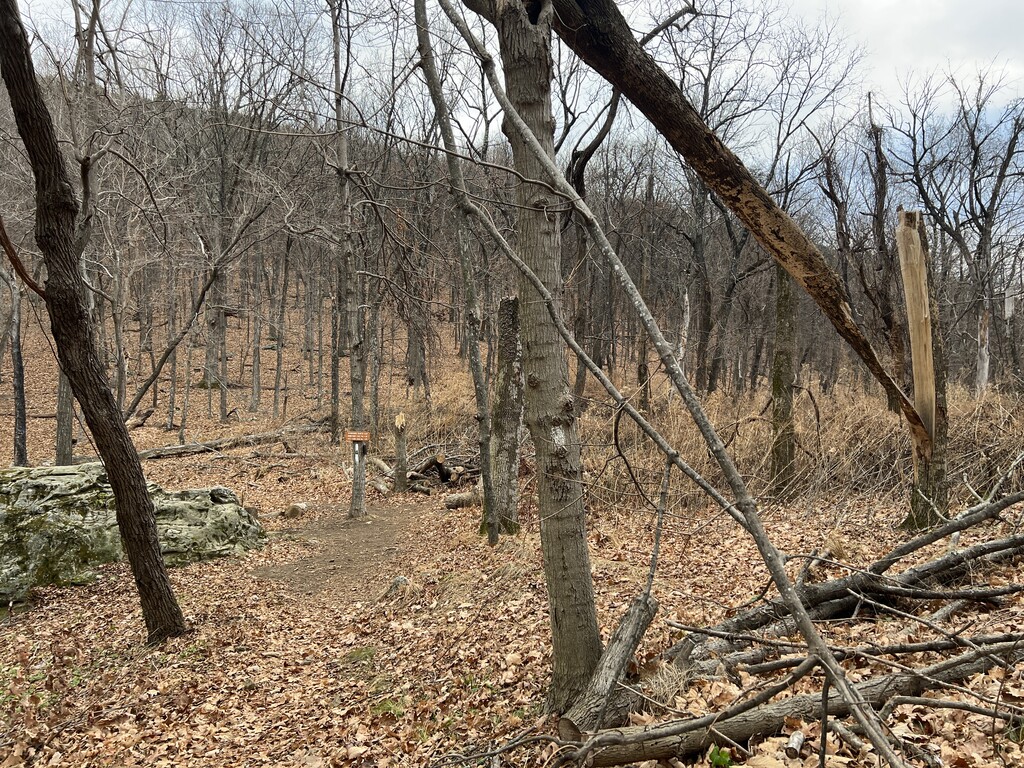 Scorched Earth Gap