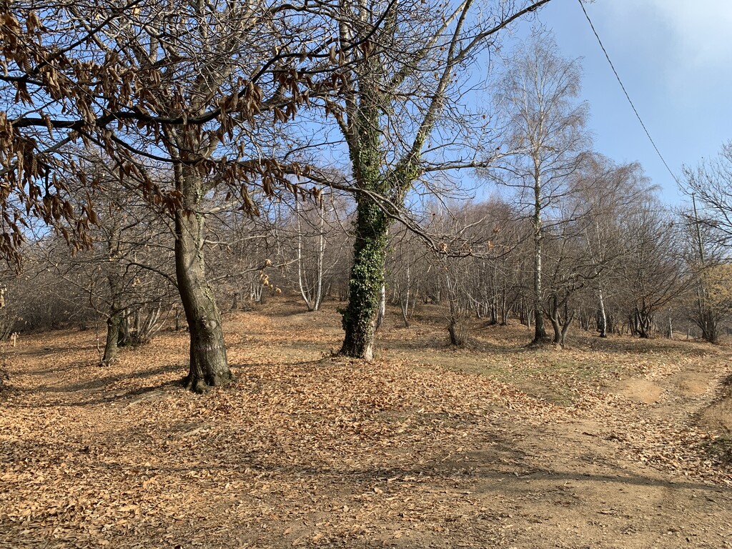 Photo №2 of Sella del Quarone