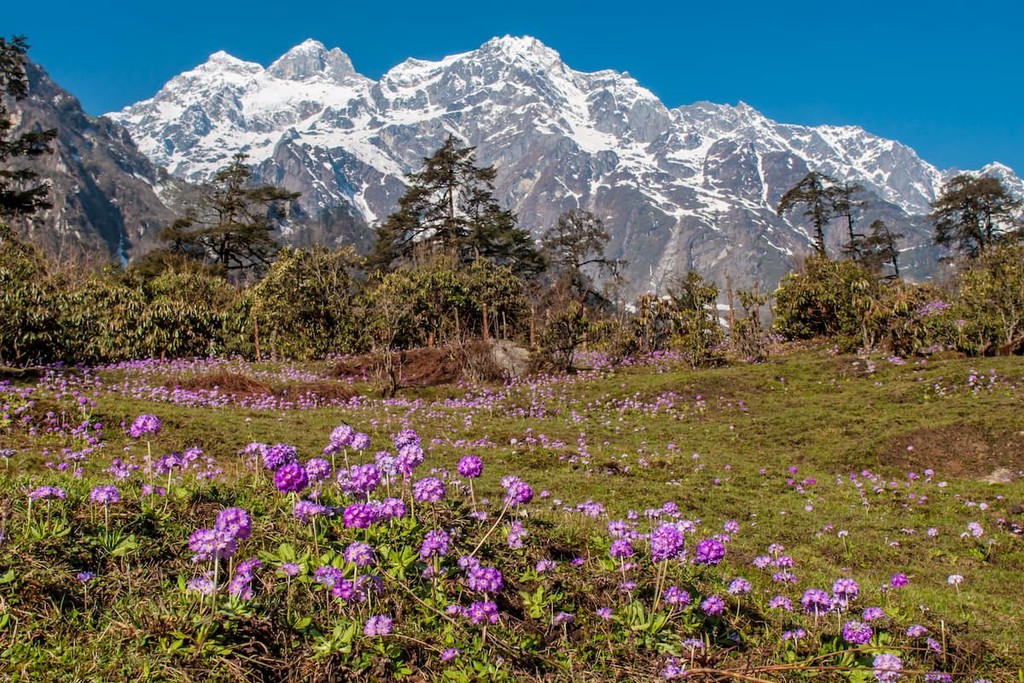 Sikkim Mountains