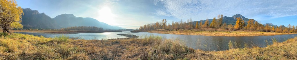 Skamania County Mountains