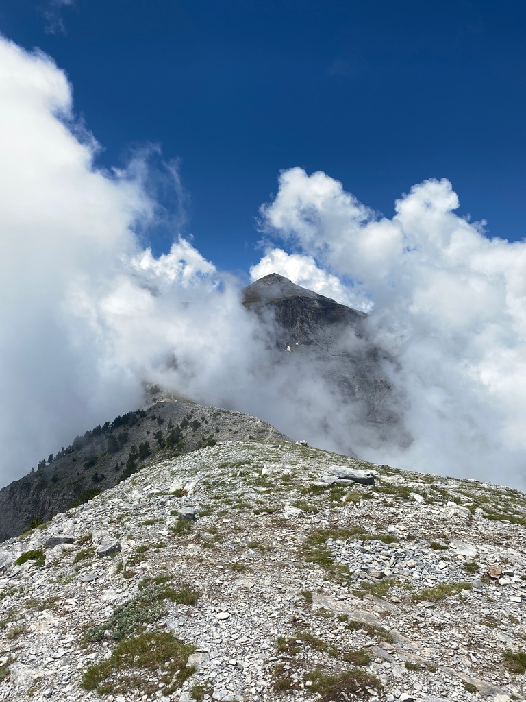 Photo №2 of Skoyrta