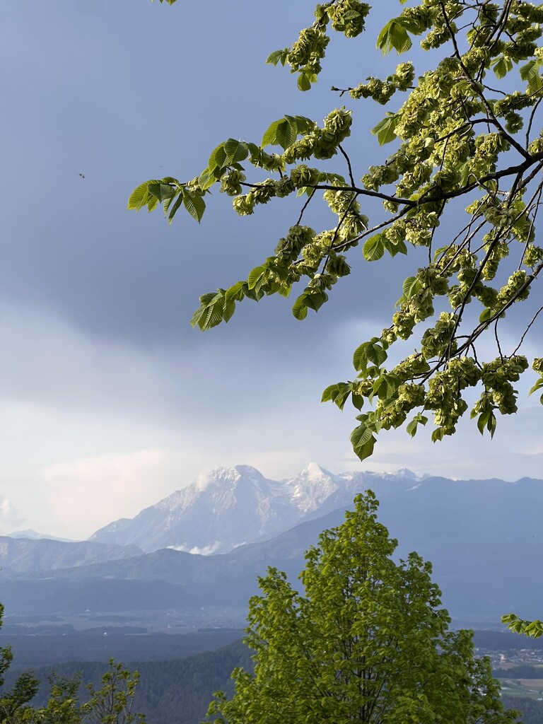 Photo №8 of Šmarna gora