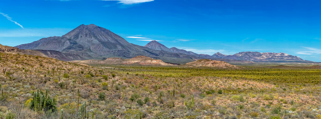 Sonoran Desert in Mexico