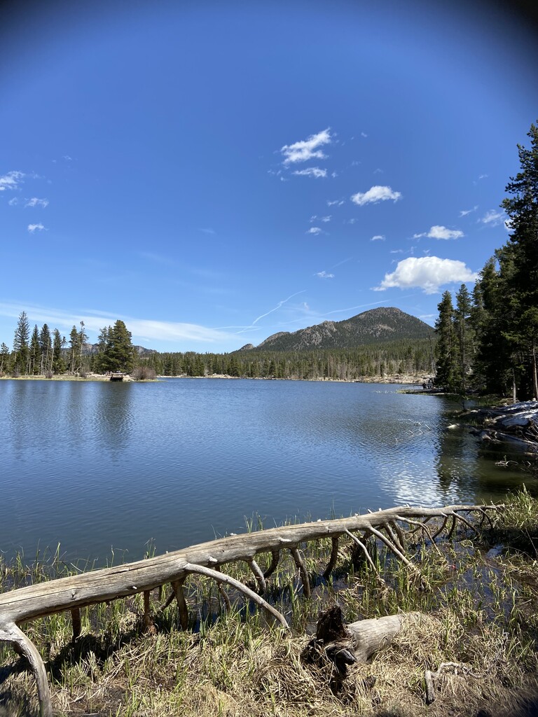 Photo №3 of Sprague Lake