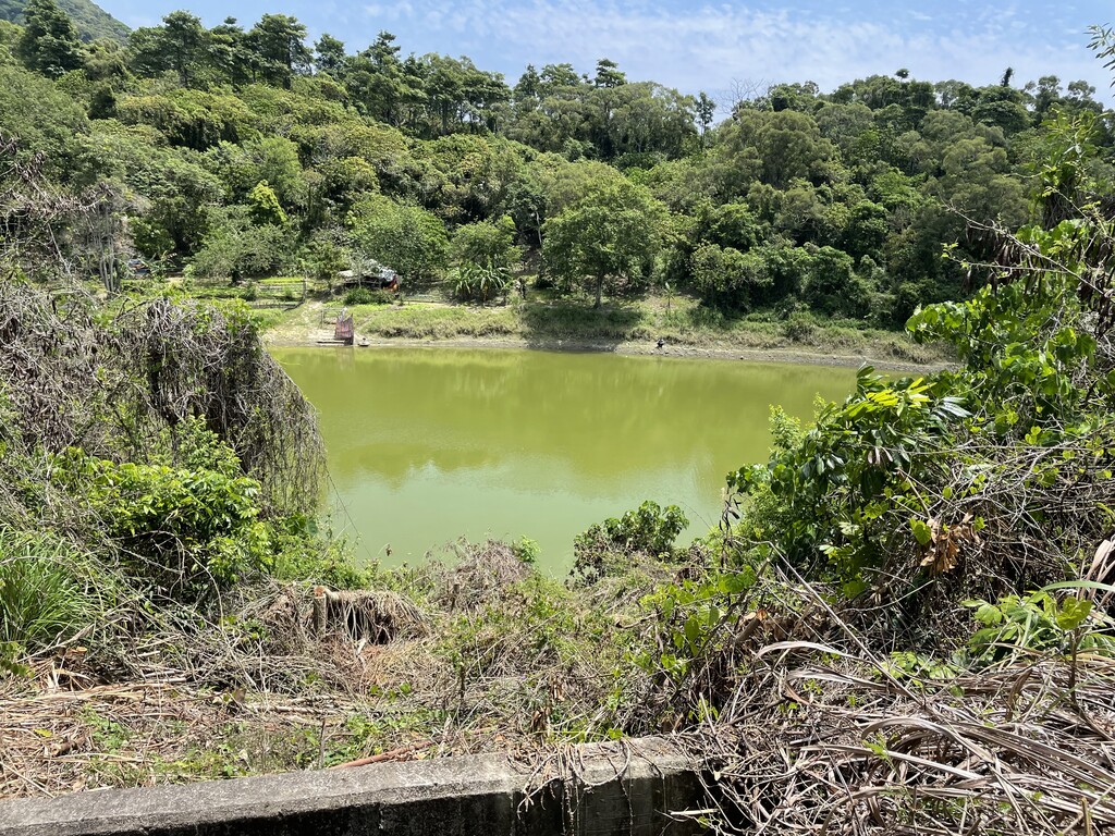 Photo №3 of Táiwān Tán