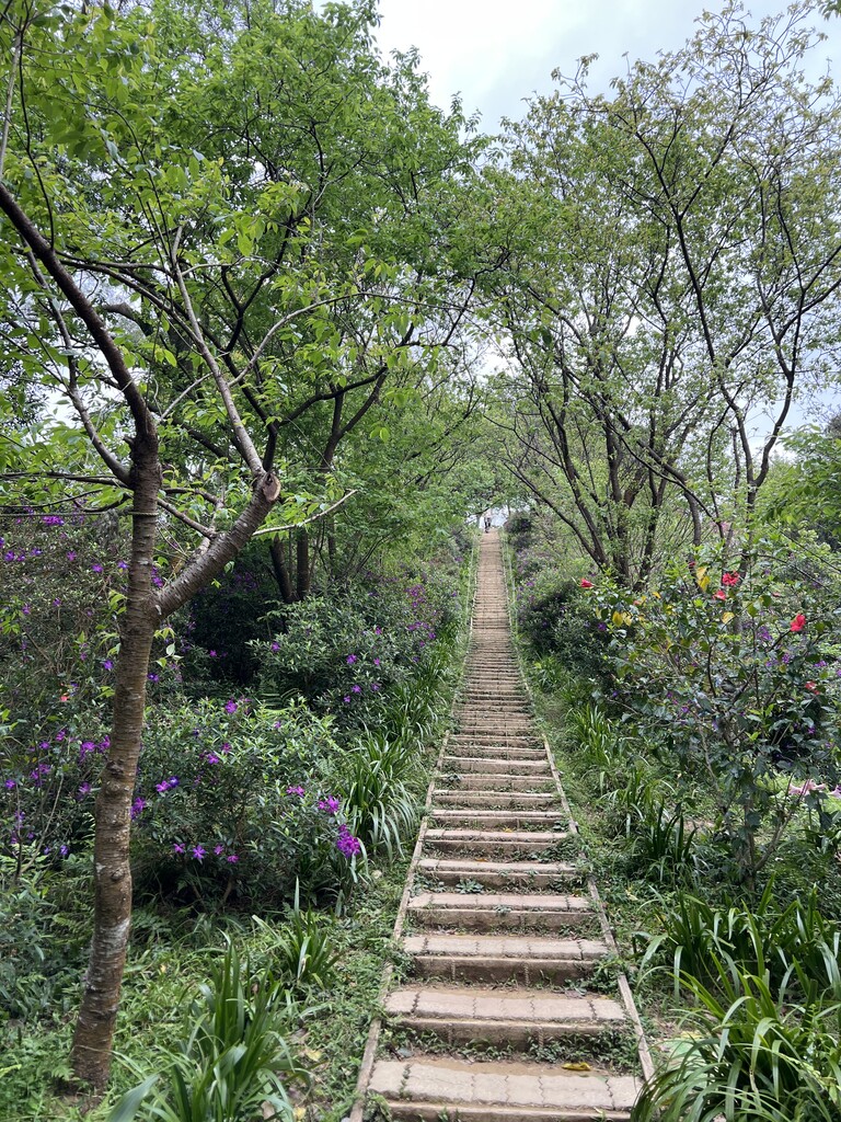 Photo №8 of Taijiling