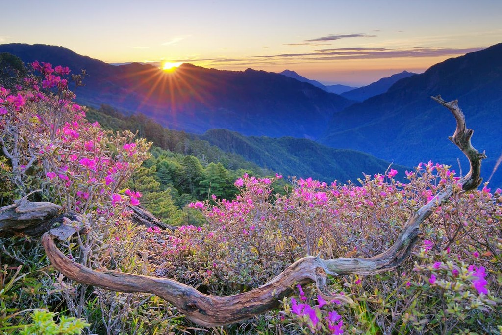 Taiwan Mountains