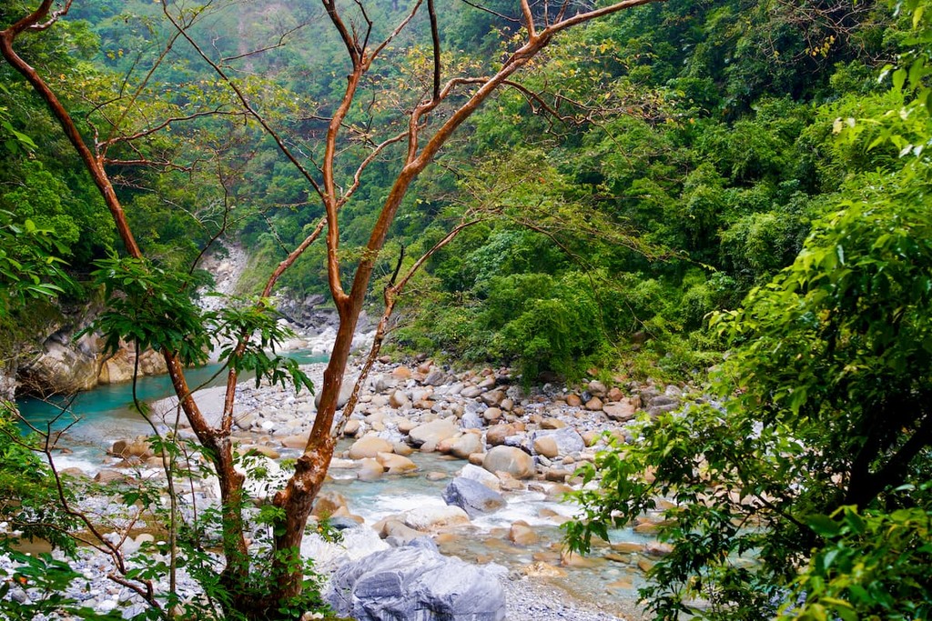 A stream running through a rain forest in Taiwan