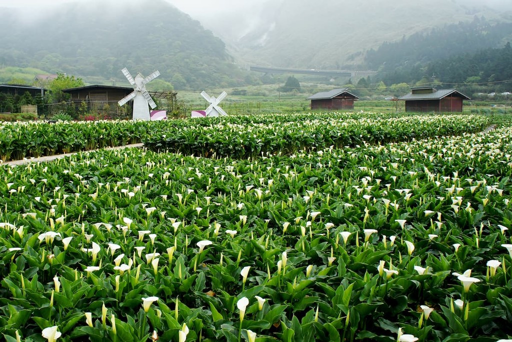 Yangmingshan National Park