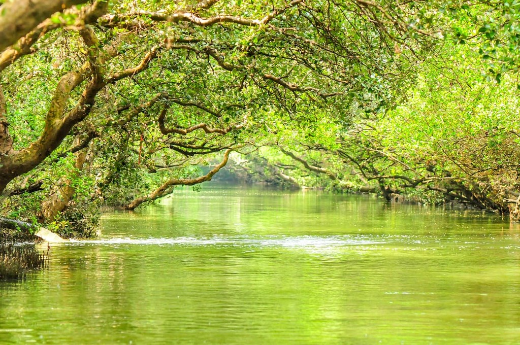 Taijiang National Park