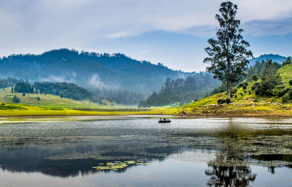 Tamil Nadu Mountains