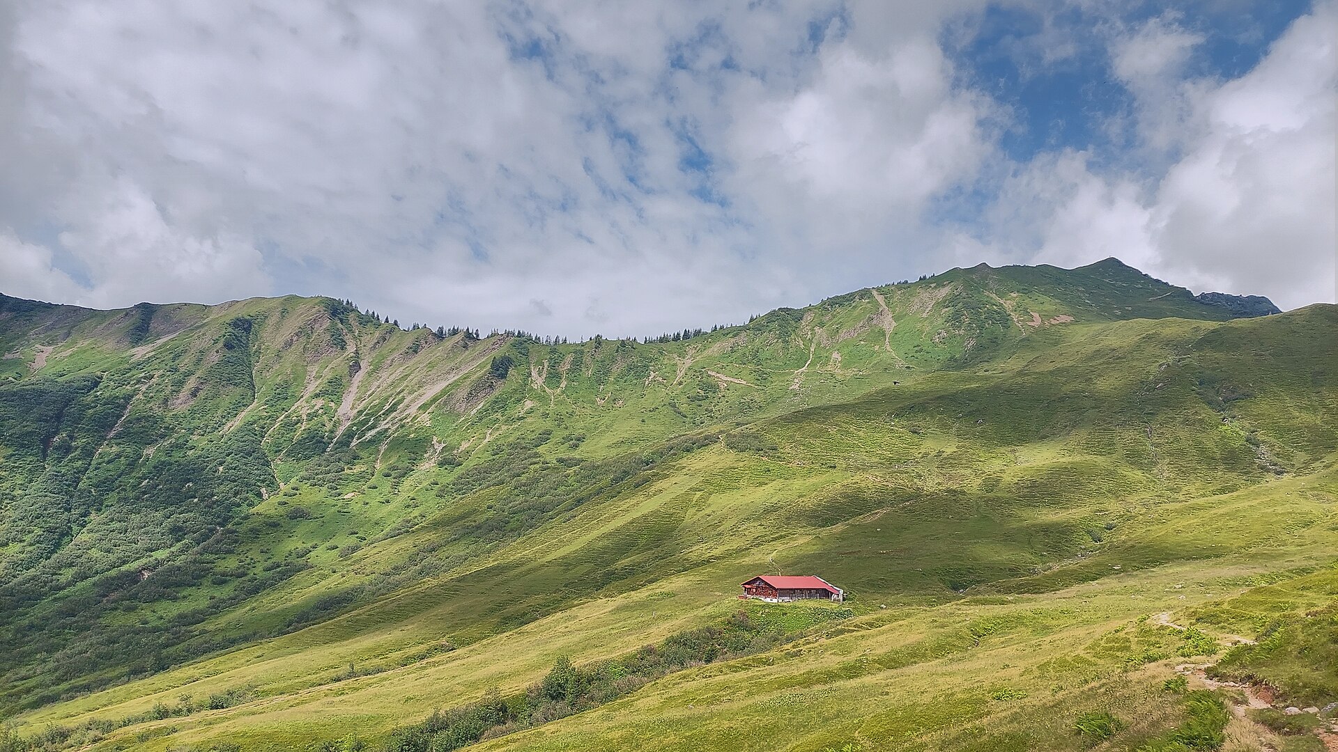 Starzelalpe