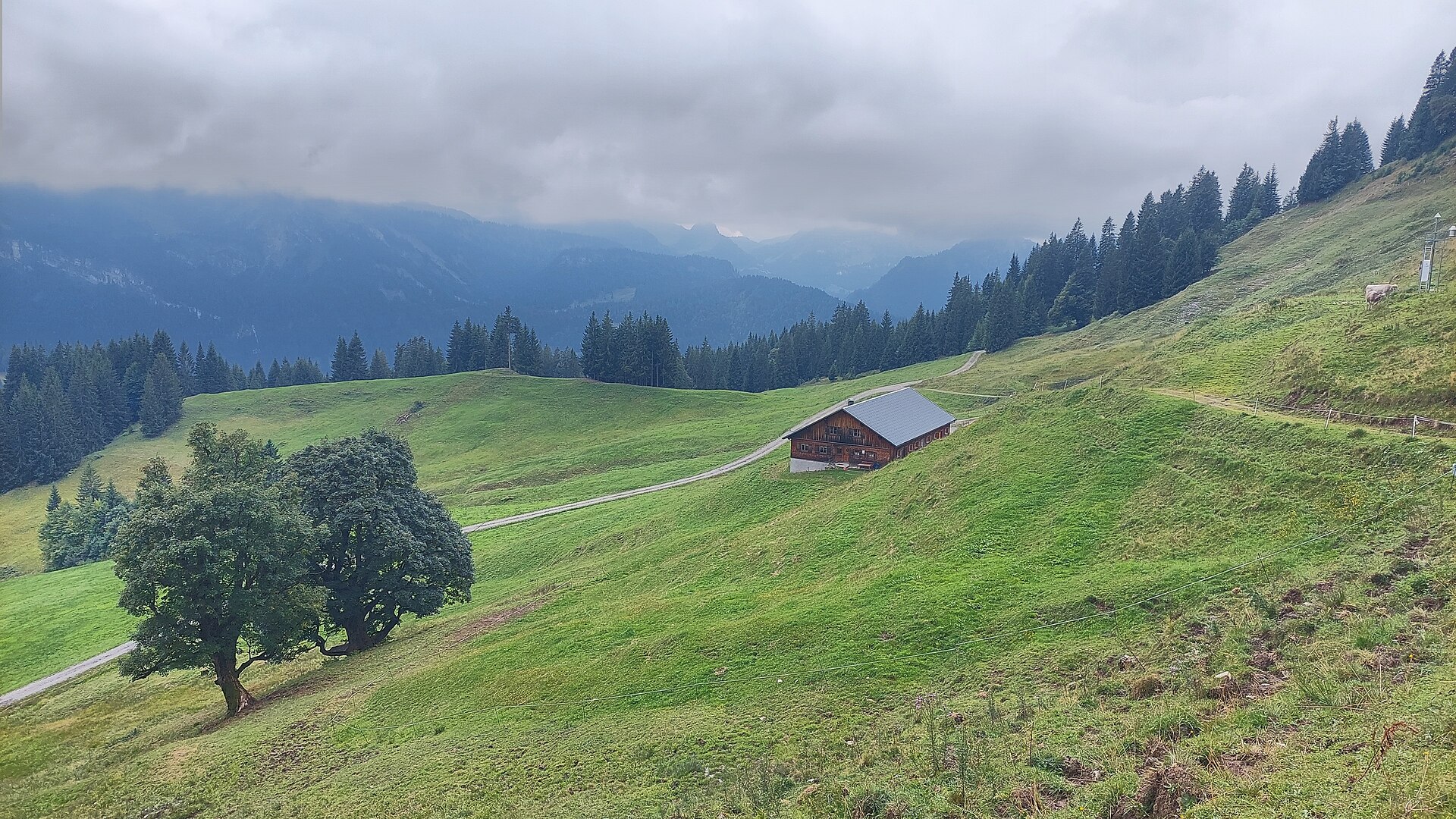 Vögels Neualpe