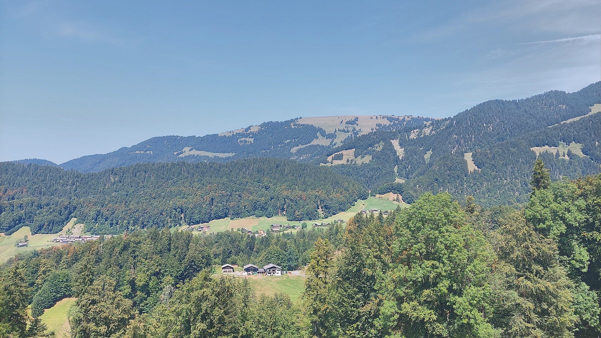 Am Stein