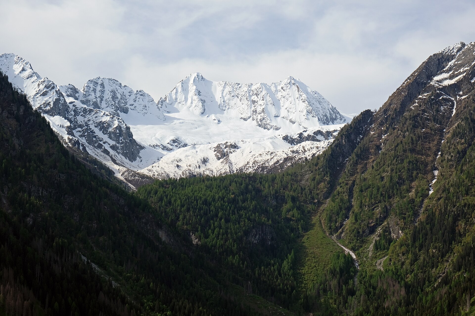 Vermiglio
