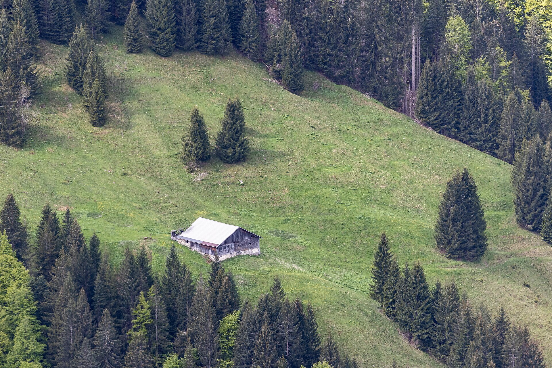 Äblisbodenalpe