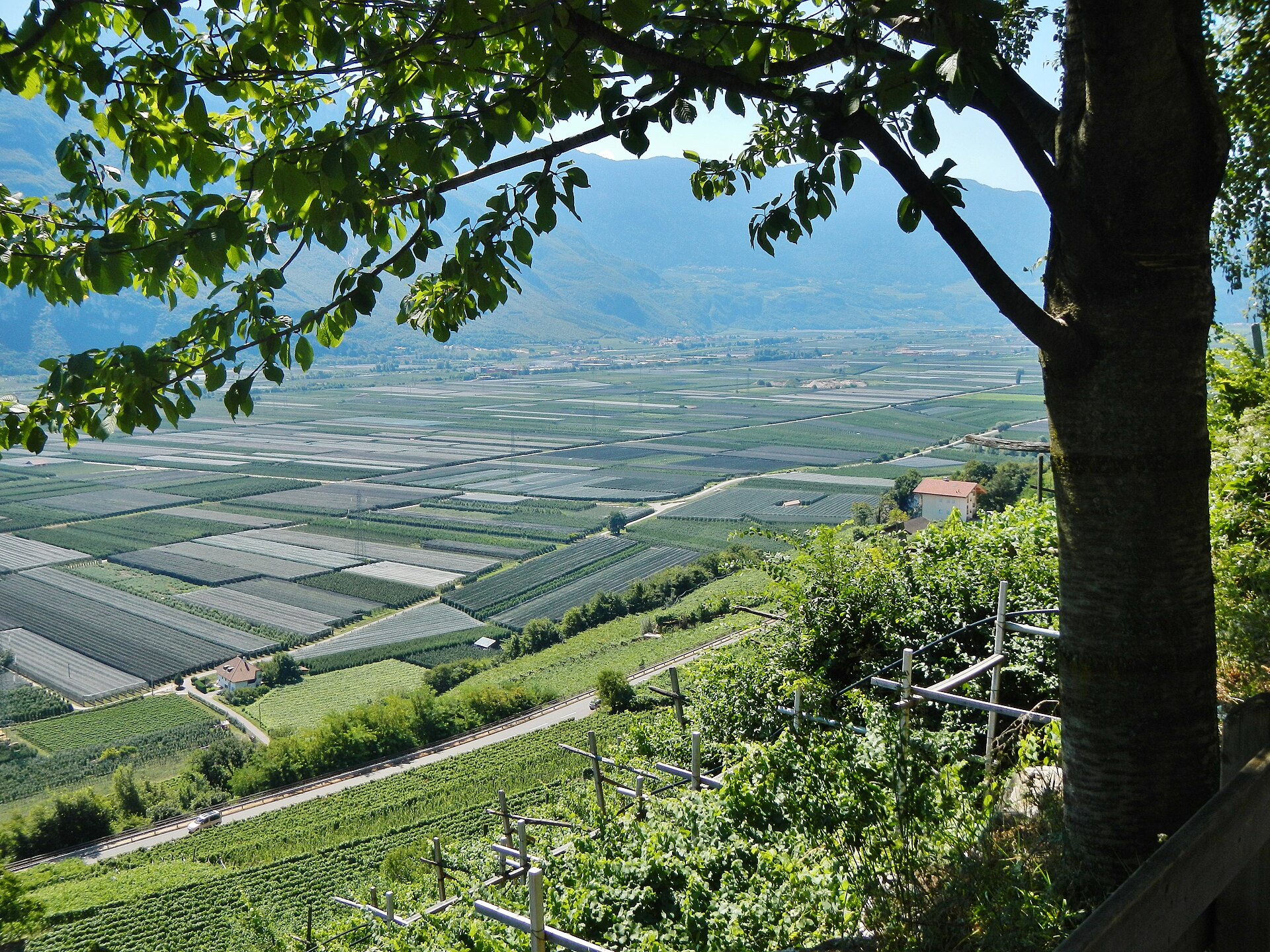 Termeno sulla strada del vino/Tramin an der Weinstraße
