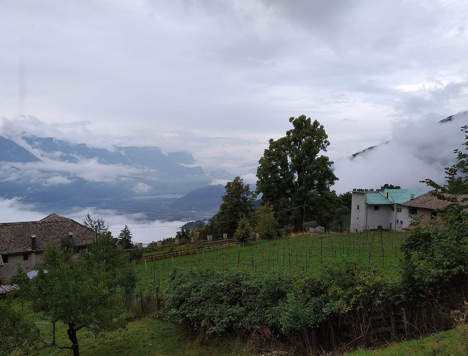 Montagna sulla strada del vino/Montan an der Weinstraße