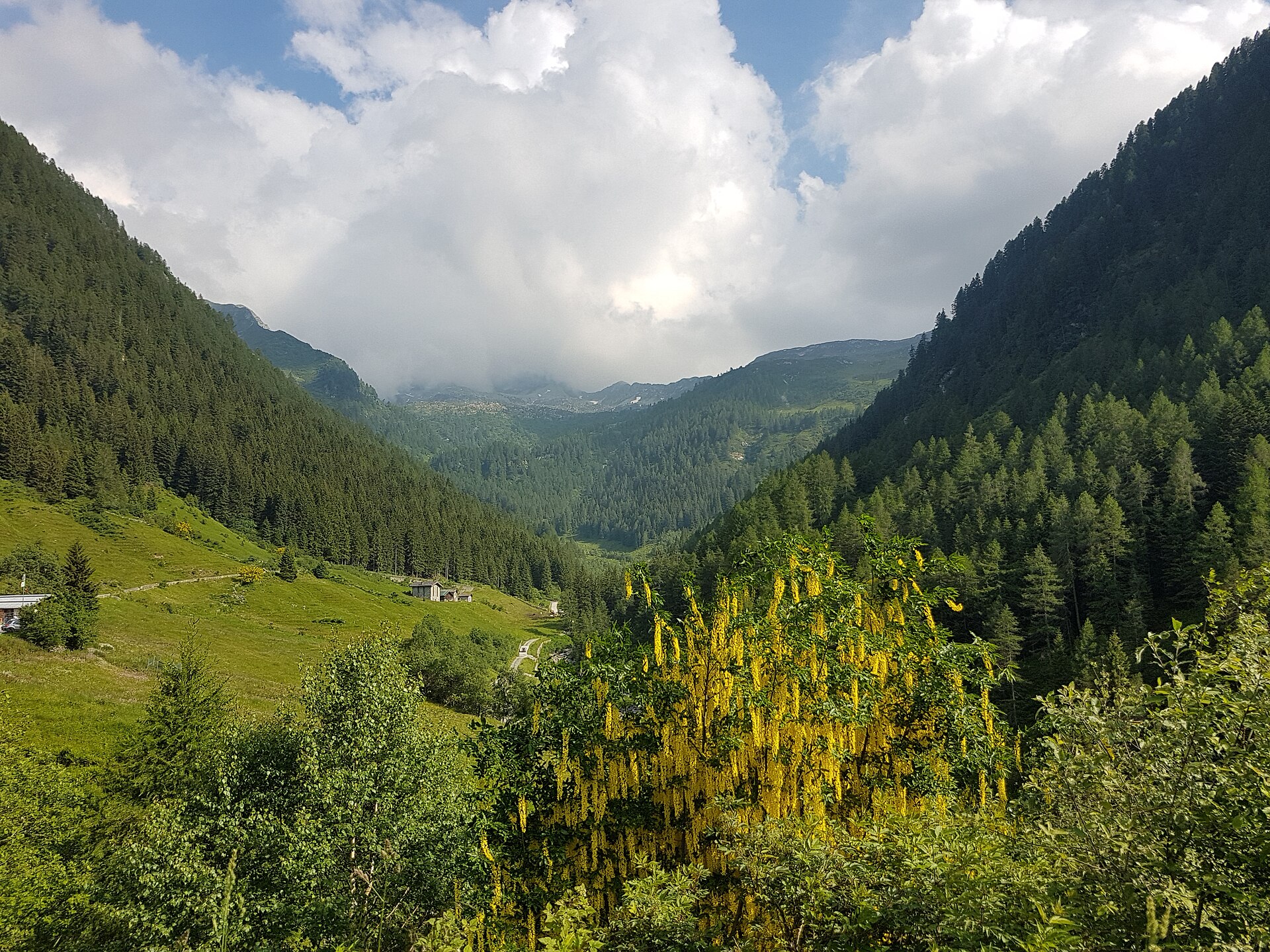 Fusine