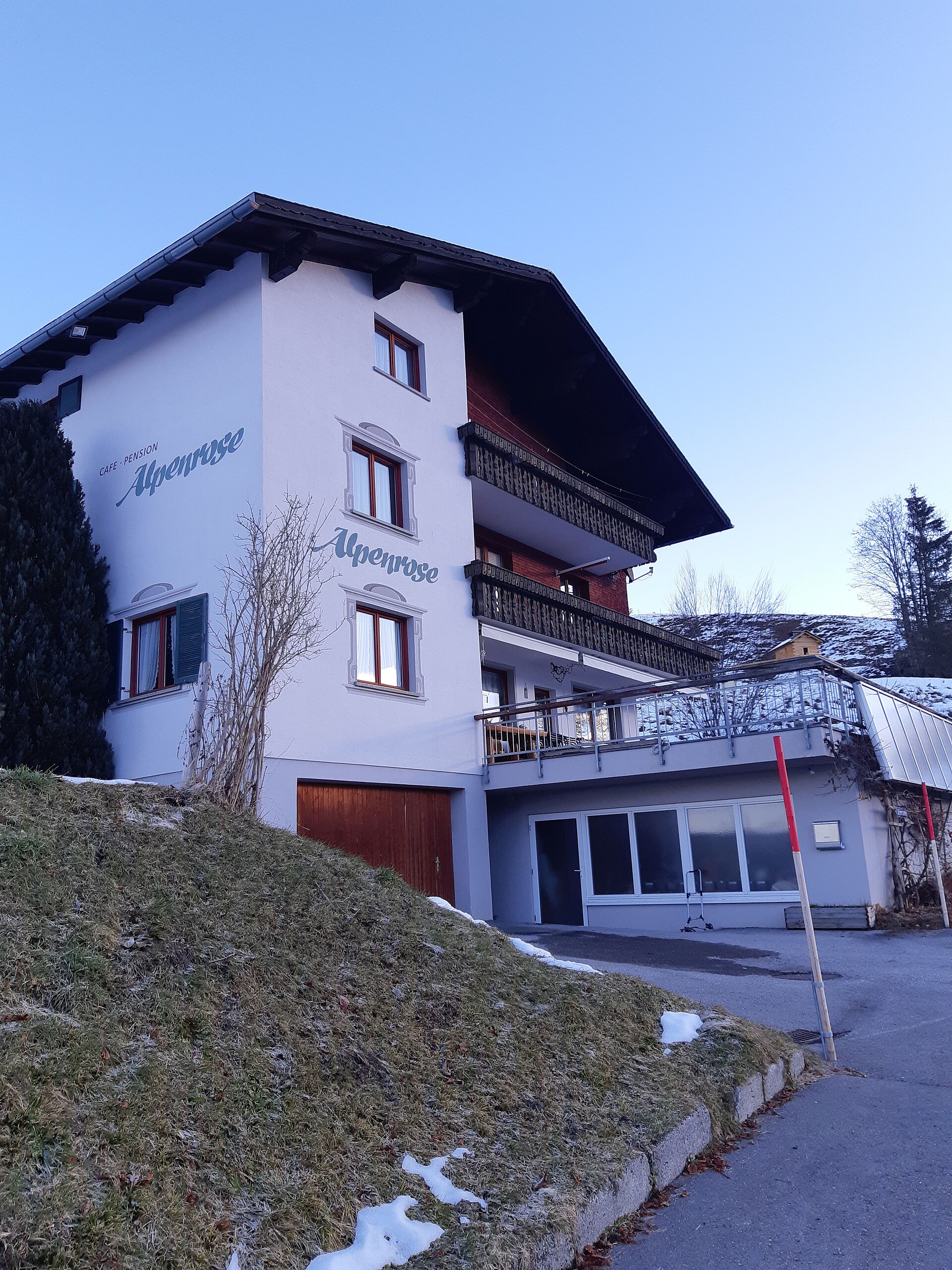 Alpenrose