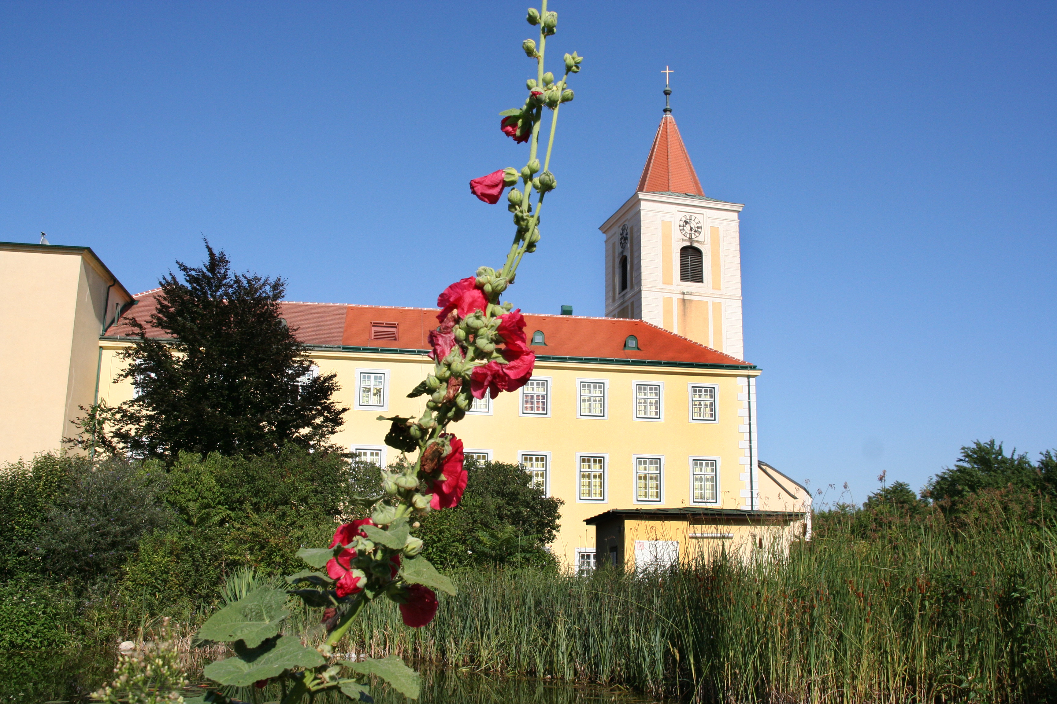 Pfarrkirche St. Andrä an der Traisen (ehemalige Stiftskirche)