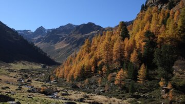 Serfaus