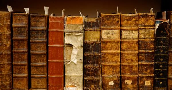 Ausstellung: Buchschäden