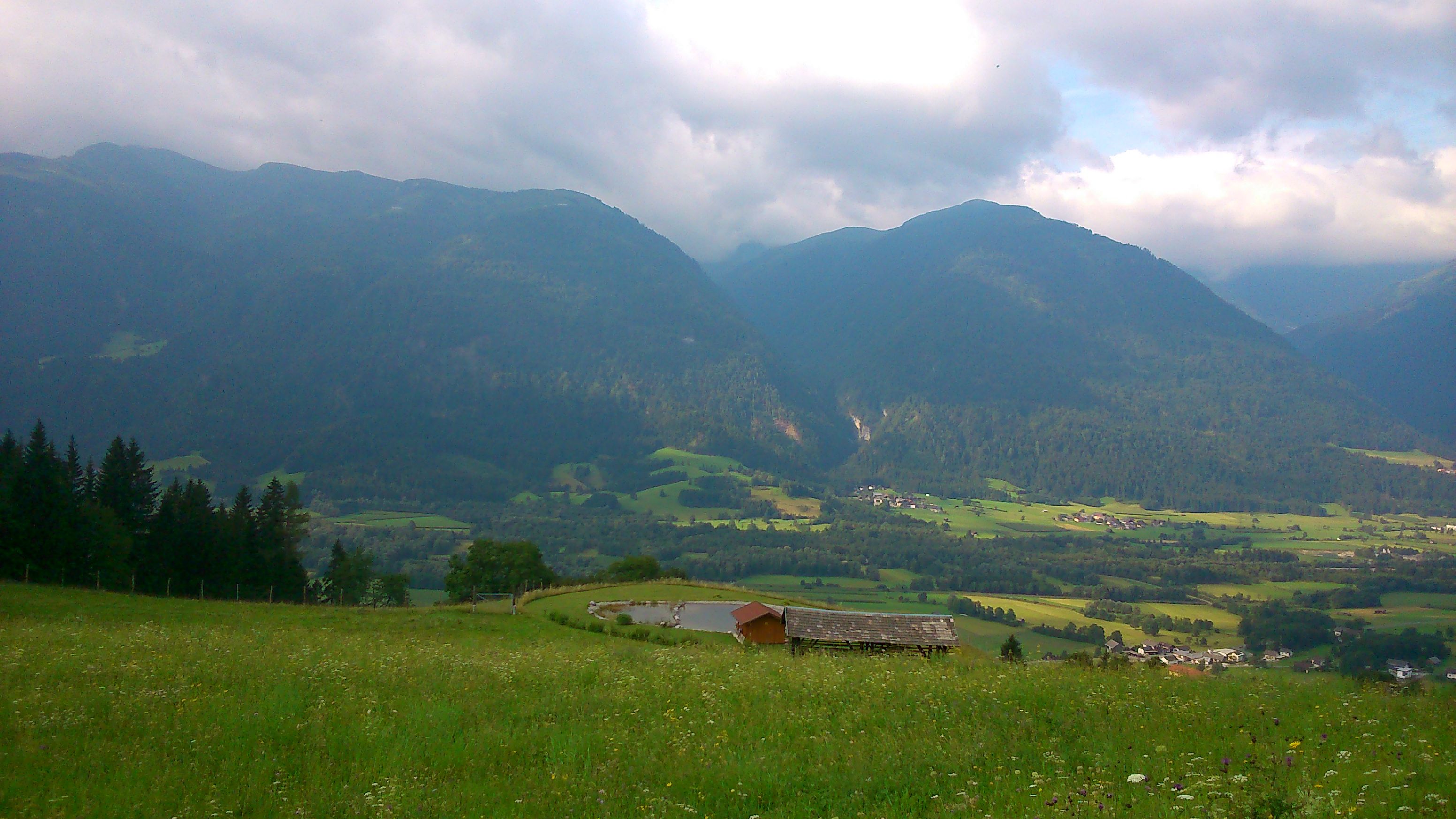 Dellach