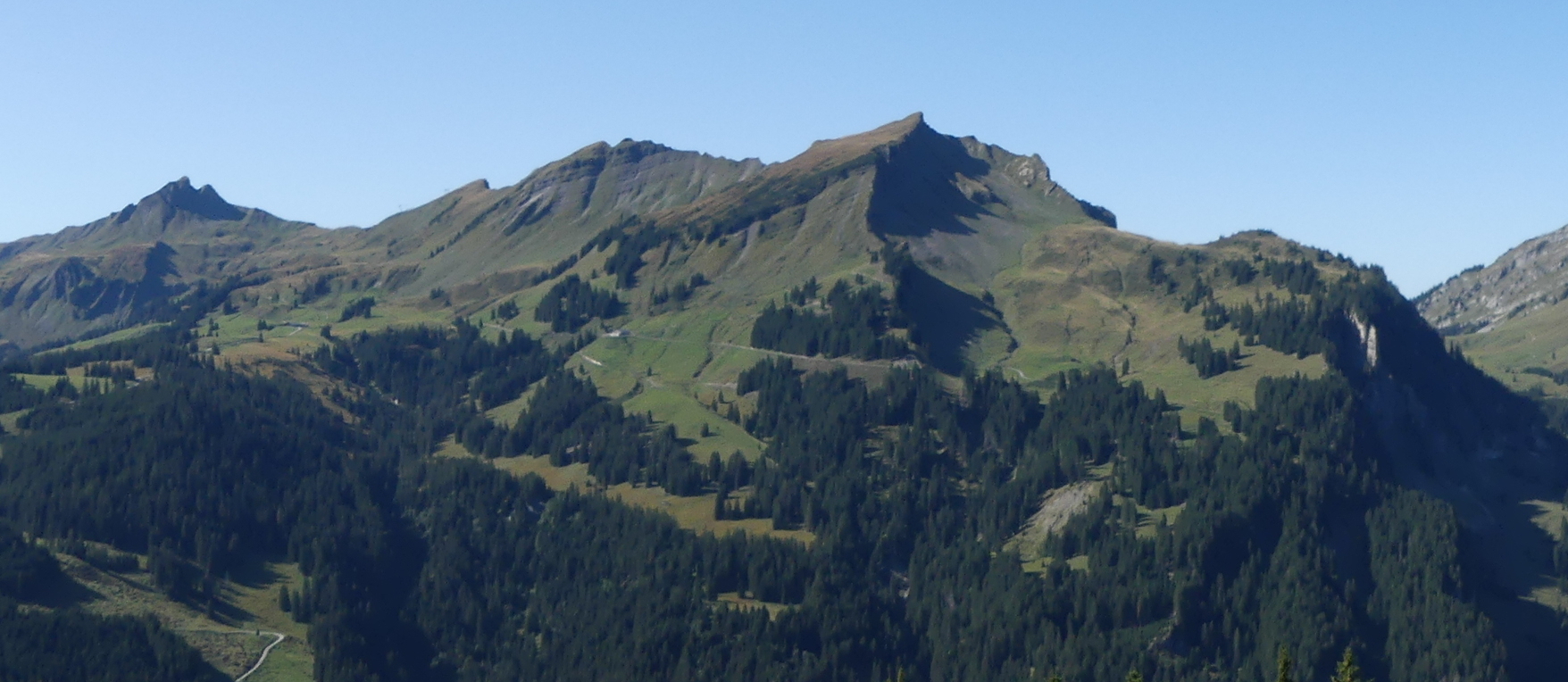 Gungern