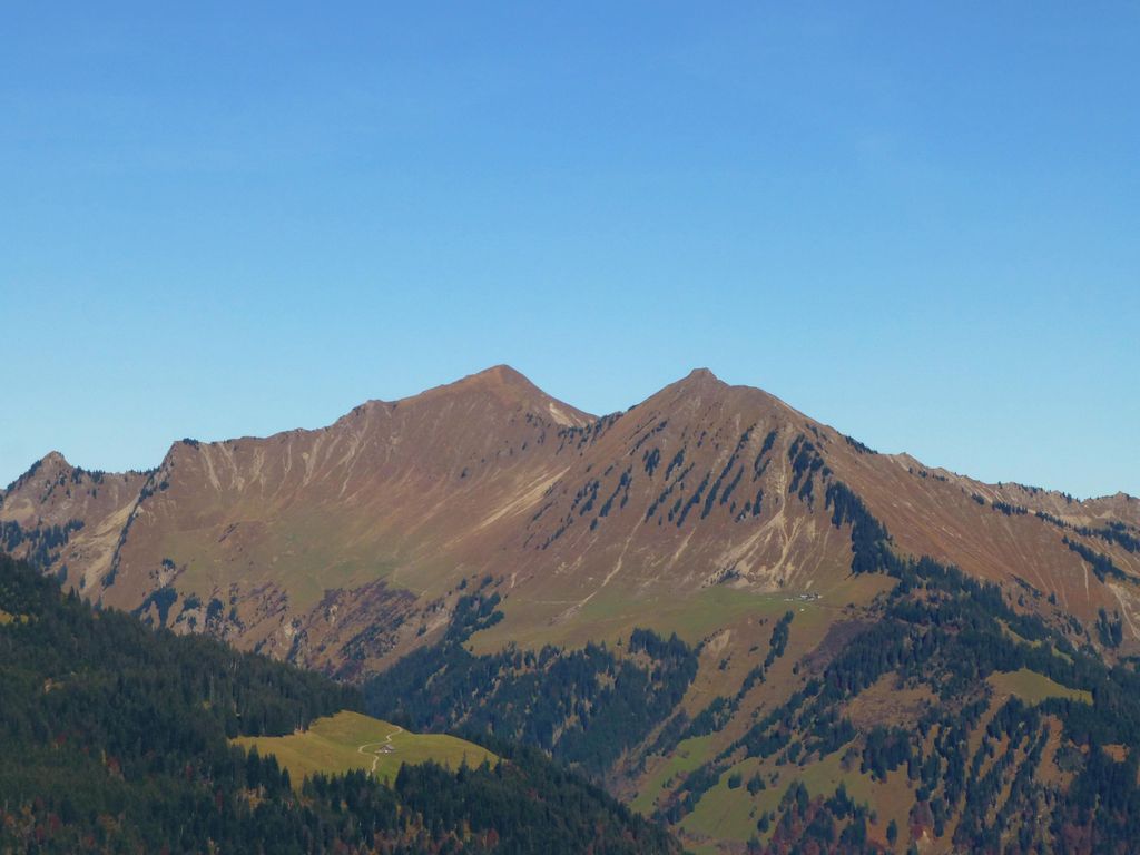 Nitzkopf