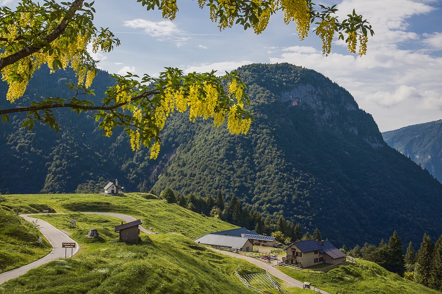 Malga Borcola