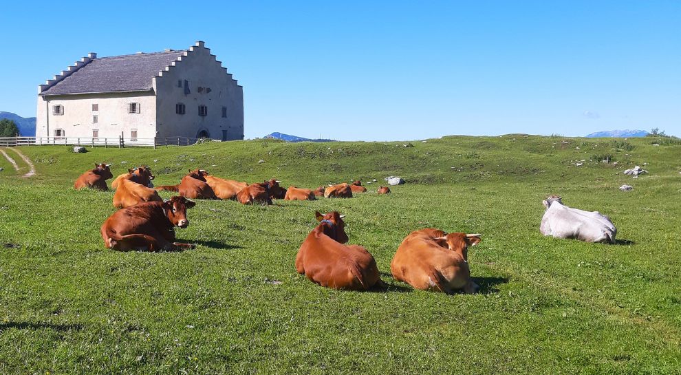 Riserva naturale della Scanuppia