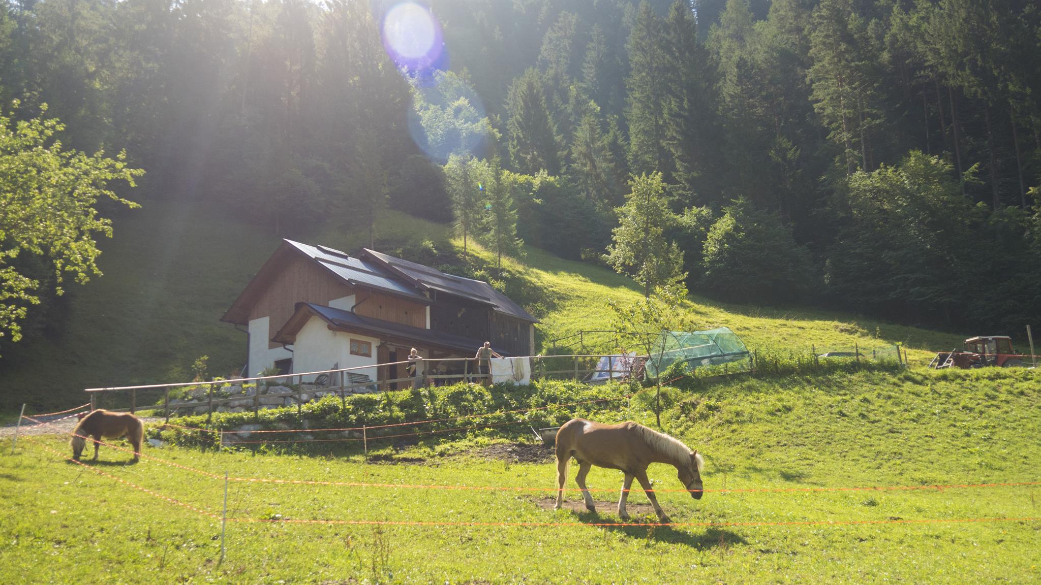 Malga Plan dei Spadovai