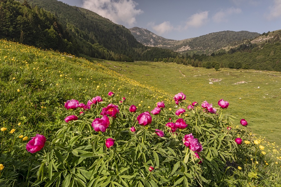 Naturpark Monte Baldo