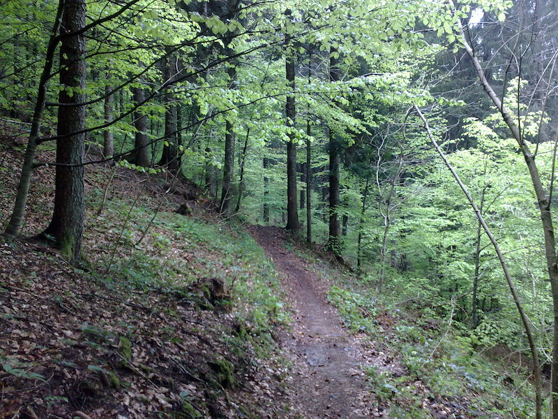 Vilminore di Scalve