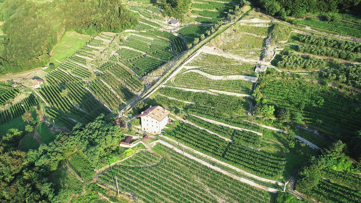 Vini di carattere arrampicati in Valle Camonica